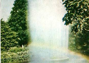 KRAKÓW SADZAWKA Z FONTANNĄ NA PLANTACH