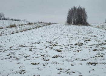 Sprzedam działkę rolną 5800 m² – Garlica Murowana, gm. Zielonki