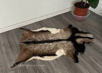 Unikatowa naturalna skóra kozia - multicolor, dywanik