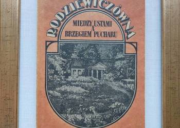 między ustami a brzegiem pucharu Maria Rodziewiczówna powieść obyczajowo-ro