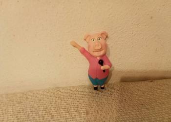 Śpiewająca świnka sing