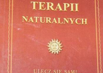 LEKSYKON TERAPII NATURALNYCH - ALKE HARALD D.