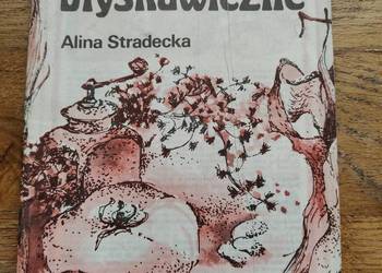 Obiady błyskawiczne- Alina Stradecka