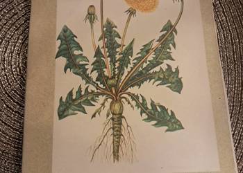 książka z 1984r "zioła i ich stosowanie" stan dost. jest kilka luźnych kar