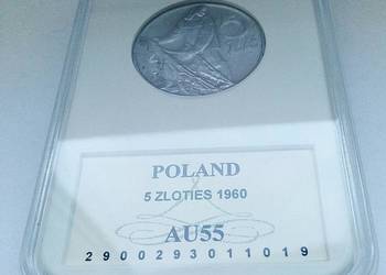 POLSKA-5 ZL-1960 r AL-GRADING-AU55-RYBAK bzm