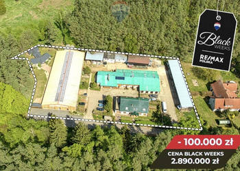 Doskonała okazja dla koniarzy i nie tylko!