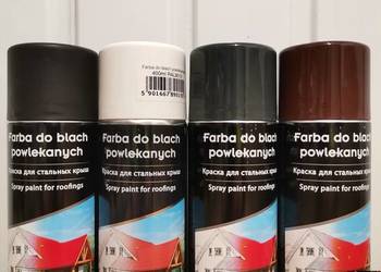 Farba renowacyjna w sprayu - do blachy