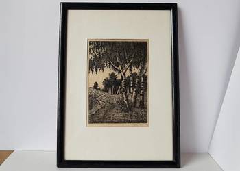 Stara sygnowana grafika Brzozy