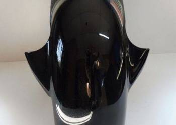 BMW S1000RR K46 Przedni błotnik A259