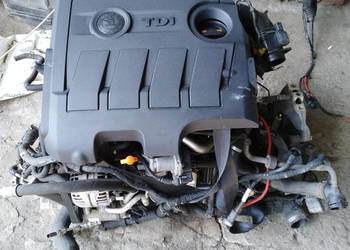 Silnik 1.6 tdi CAY CAYC cały kompletny ze skrzynią Octavia Caddy polo Toura
