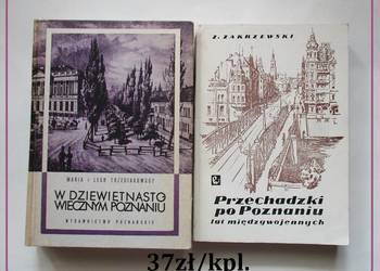 W dziewiętnastowiecznym Poznaniu/Przechadzki po Poznaniu