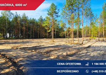 6x1000m2 Teren inwestycyjny pod małe osiedle – Piskórka, gm. Prażmów