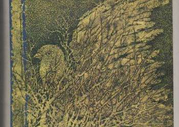 Serce jak złoty gołąb - Joanna Kulmowa