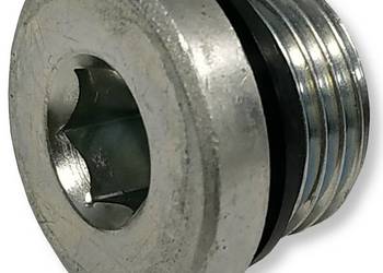 KOREK HYDRAULICZNY Z USZCZELNIENIEM IMBUS GWINT 22x1,5 [2383