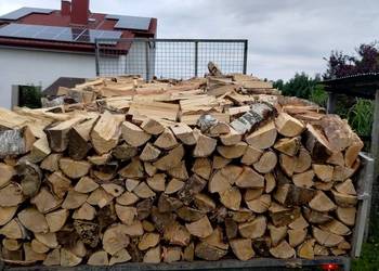 Drzewo drewno opałowe kominkowe rozpałkowe