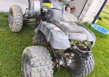Quad ATV 500