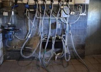 Dojarka przewodowa Alfa Laval, 5 aparatów, myjnia