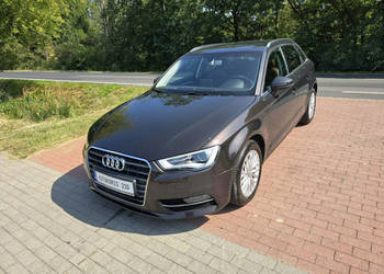 Audi A3 Audi A3 1,6 tdi Sportback 110KM z bardzo niskim przebiegiem 127 ty…