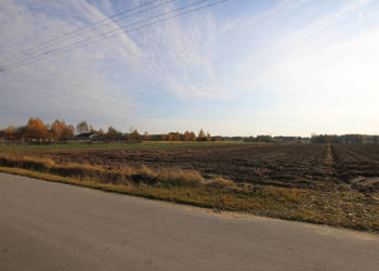 Działka rolno budowlana 65ar Sobolew Kol g. Firlej