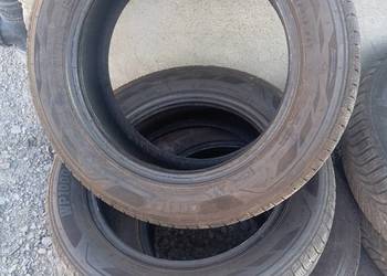 Opony zimowe zetex wp1000 175/65/15