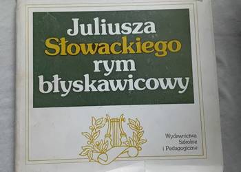 Juliusza Słowackiego rym błyskawicowy. WSiP, 1980 r. Wydanie I.