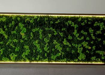 Rama podświetlona LED 100x40cm z mchem poduszkowym, chrobotkiem reniferowym