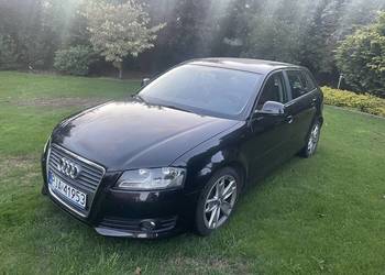 Audi A3 8P 2010r 1.6TDI