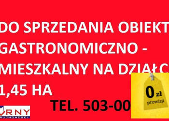 Oferta sprzedaży lokalu Wola Krzysztoporska 351m2