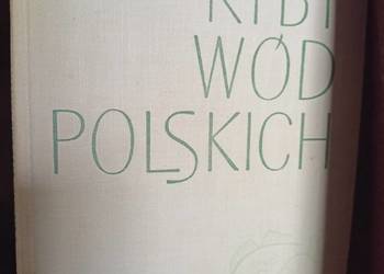 Ryby wód polskich książek wysyłka gratis wyprzedaż księgozbioru Trójmiasto