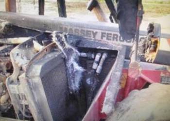 Massey Ferguson MF 8926 2010r.Części