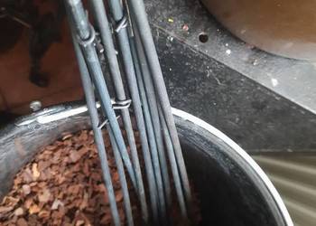 3,5 l podłoża dla storczyków +gratis 11 patyczków usztywniających pędy