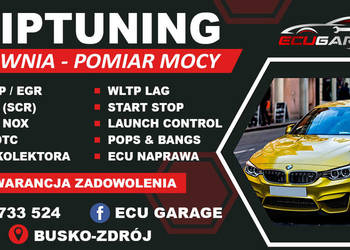 Wyłączanie usuwanie AdBlue (SCR), DPF, EGR, chiptuning, hamownia