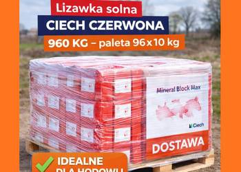 Lizawka solna Ciech czerwona 960 kg – paleta 96 x 10 kg, dostawa