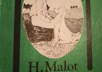 Bez rodziny książki Warszawa księgarnia Praga unikat antyk