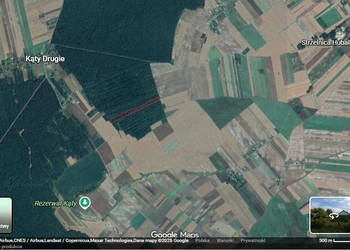 Sprzedam udziały leśne, 1,34 ha, Wieprzec Wychody, Zamość, lubelskie. Cena…