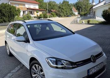 Vw Golf 7.5 1.5 tsi 130 Km Bluemotion