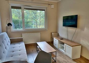 Do wynajęcia 2 pokojowe  mieszkanie z ogródkiem Maślice
