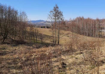 Działka 5000m2 Jazowa