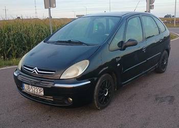 Citroen Xsara Picasso 1.6 Benzyna+Gaz 2009 Rok Sprzedaz Zami