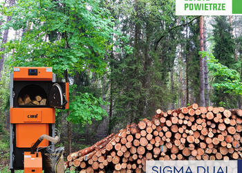 Kocioł co piec hybrydowy pellet i drewno Sigma dual 25 kW