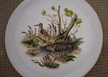 Talerz ozdobny ,ptactwo leśne -Słonki , porcelana Heinrich Winterling