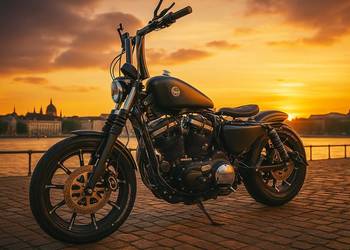 Harley Davidson XL883N bober