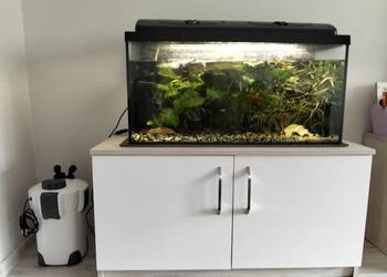 Akwarium 112l z życiem