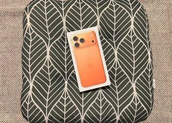 iPhone 17 Pro Max 256 GB Cosmic Orange A3257