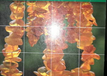 Geografia egzaminy Podręcznik książk kolekcjonerskie książki