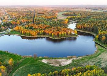 Altana biesiadna na wynajem