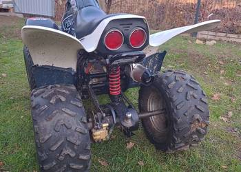 Quad dinli . Duża rama