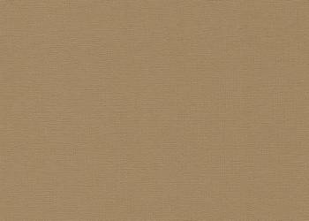 Eko Skóra Bayside 745G/M2 137Cm Kolor Champagne / Bys-127