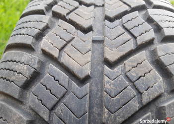 Kormorani 175x65/14 2 sztuki Kormorani 175x65/14 2 sztuki