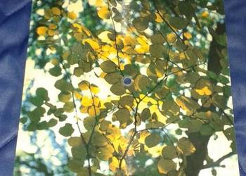 Pocztówka dźwiękowa – J. Połomski Pocztówka dźwiękowa – J. Połomski